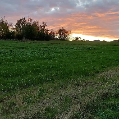 Feines Feriendomizil Waldzauber 2 Horhausen Westerwald Apartment