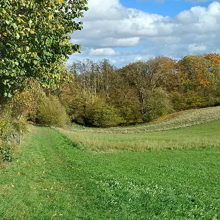 Feines Feriendomizil Waldzauber 2 Horhausen Westerwald