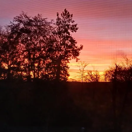 Gemuetliches Ferienapartment Fuer Jedes Budget דירה *