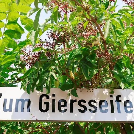 Апартаменты Feines Feriendomizil Waldzauber 2 Westerwald *