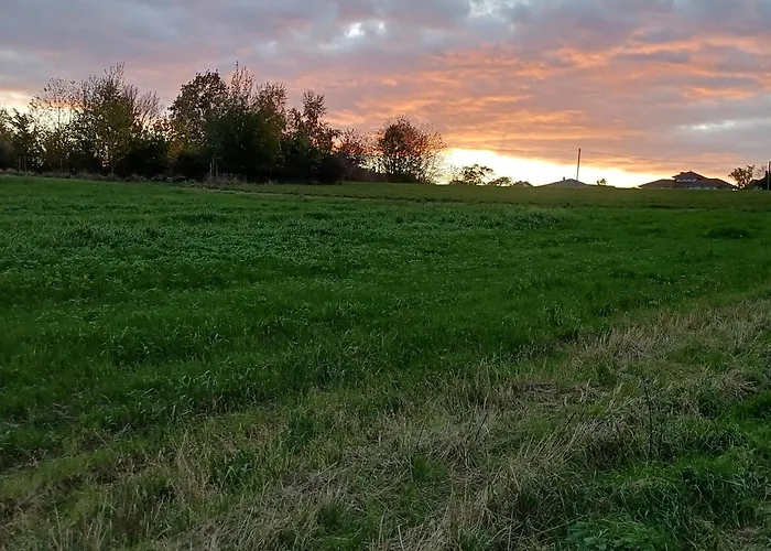 Feines Feriendomizil Waldzauber 2 Horhausen Westerwald Apartment