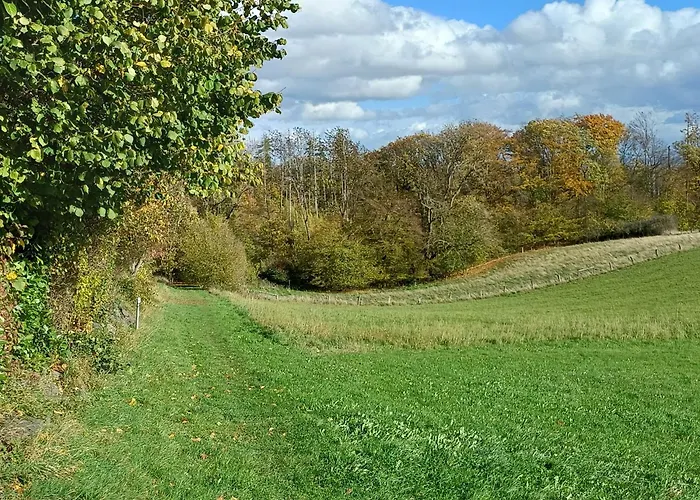 Feines Feriendomizil Waldzauber 2 Horhausen Westerwald