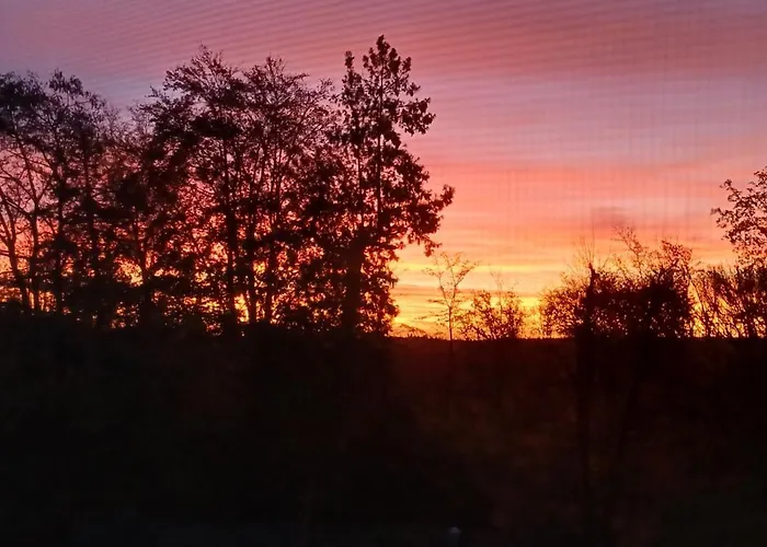 Waldzauber 2 Budget-Apartment Apartmán *