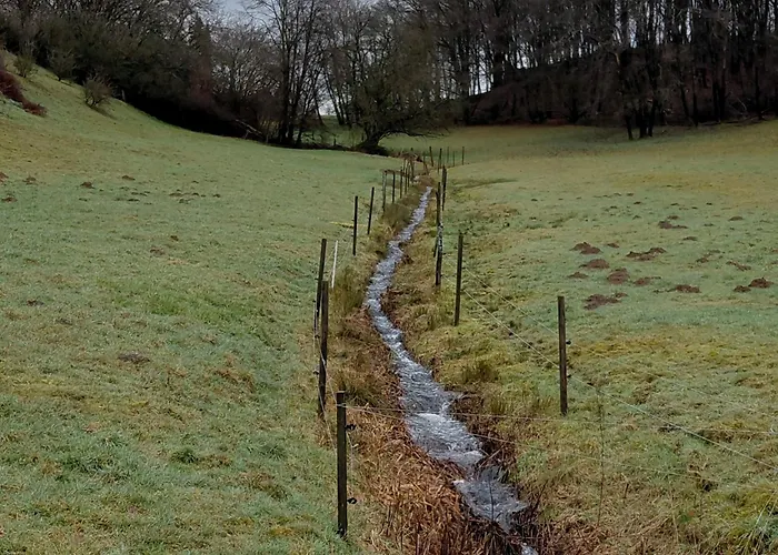 Feines Feriendomizil Waldzauber 2 Horhausen Westerwald * Horhausen (Altenkirchen)
